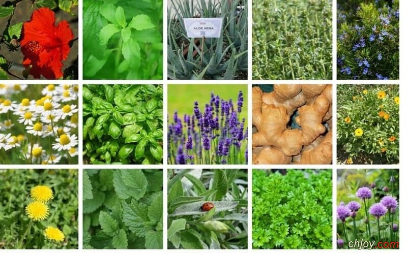 طوسک؛ کیفیتی که لمس می‌کنید