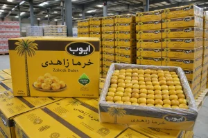خرما زاهدی ایوب راهنمای قیمت روز و زمان مناسب خرید