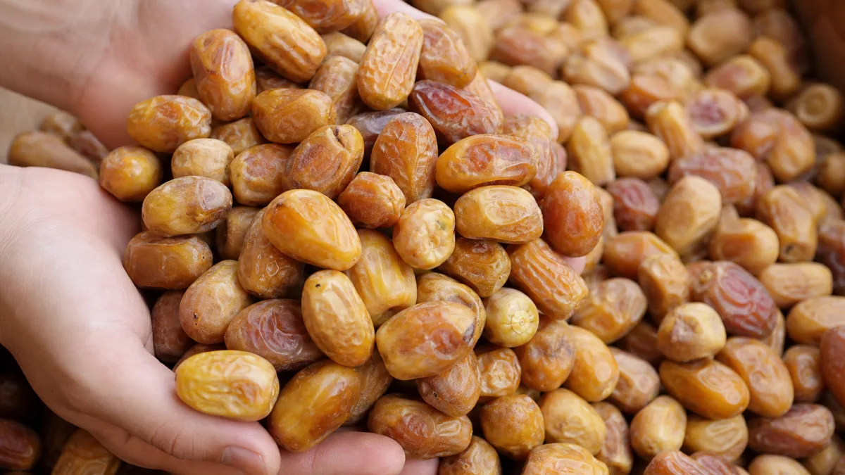 فروش عمده خرما زاهدی با ساختار تأمین و بستهبندی صادراتی