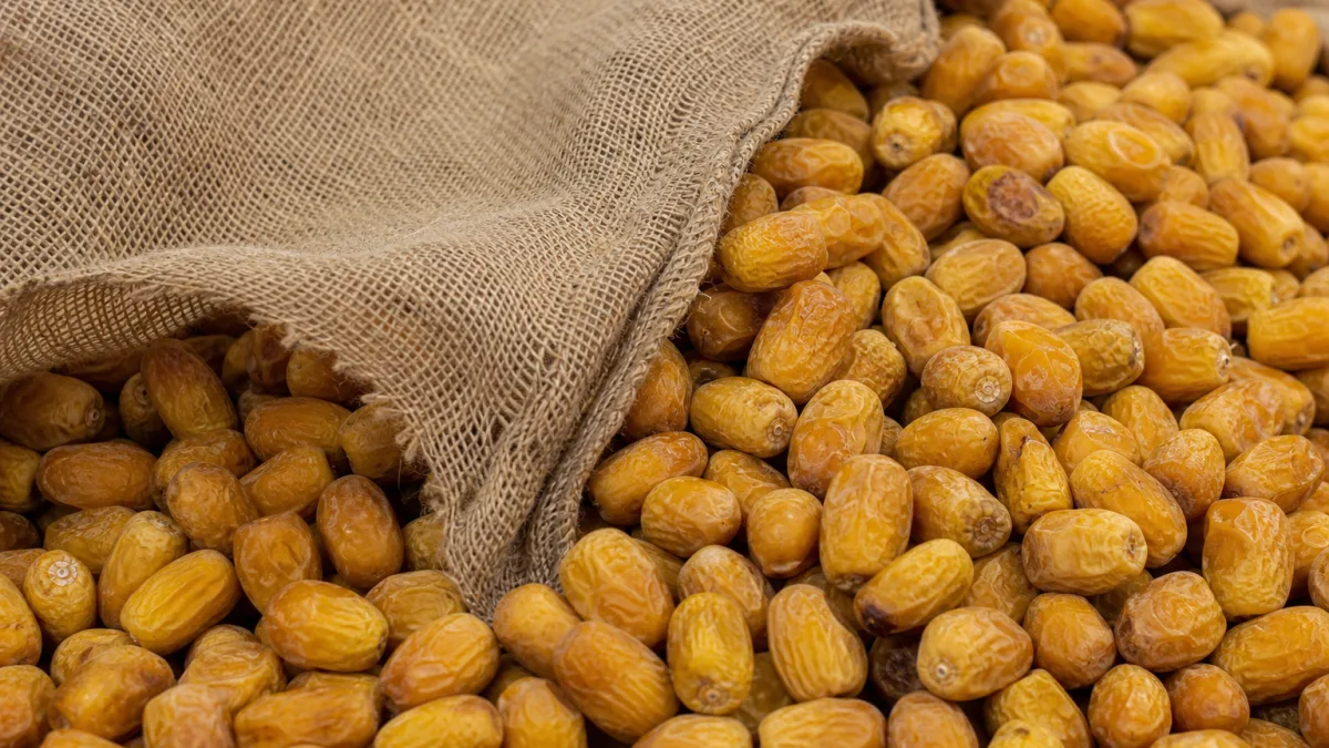 خرما زاهدی فله برای مصارف عمده بستهبندی و پذیرایی اقتصادی