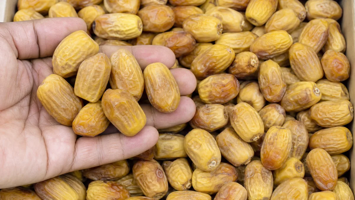 خرما زاهدی ۱۰ کیلویی در بسته‌بندی شکیل صادراتی