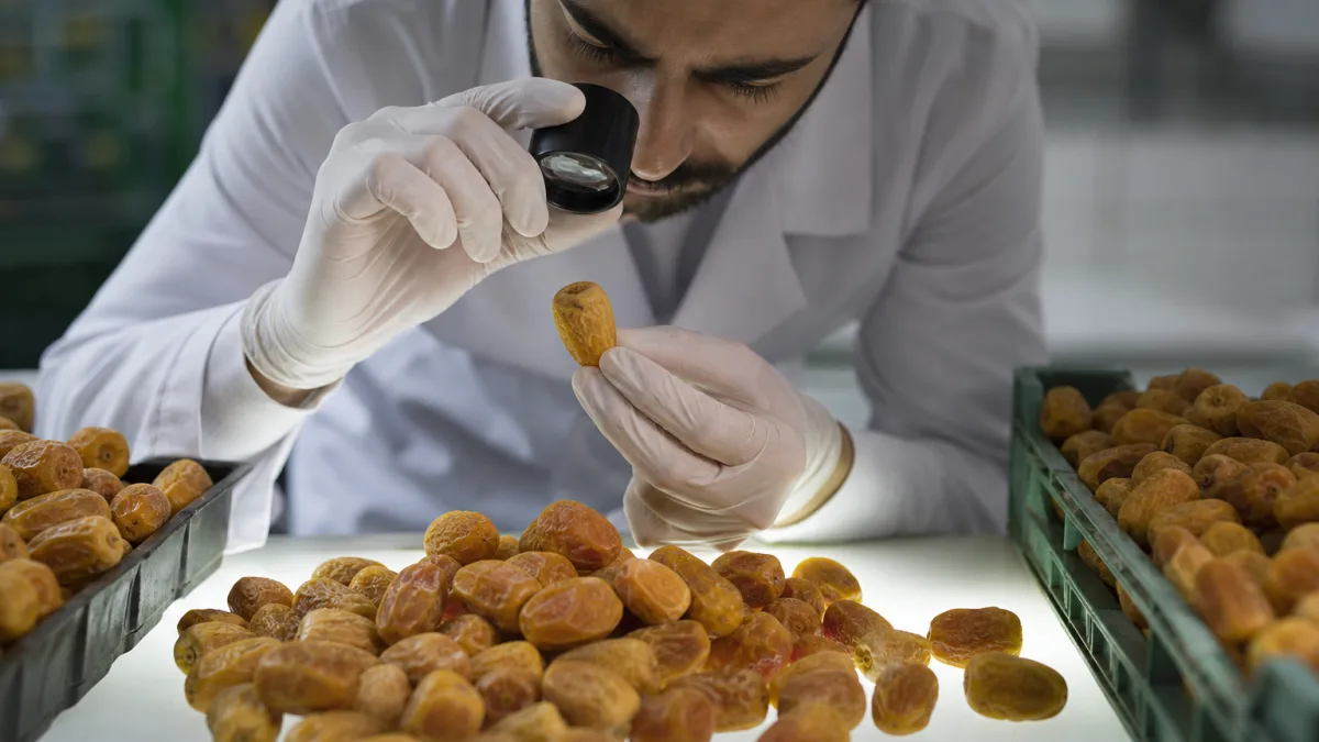 قیمت خرما زاهدی مشهد بر اساس ظاهر