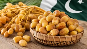 واردکنندگان پاکستانی و قیمت خرما زاهدی